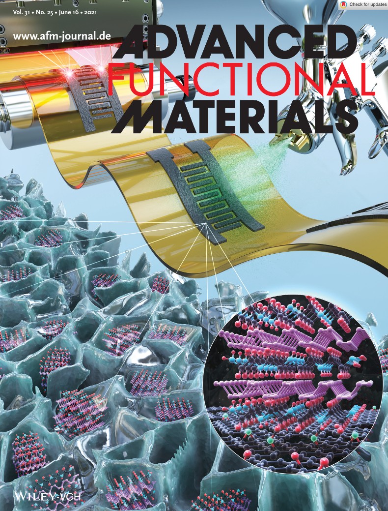 Porous 3D Graphene: Polyaziridine-Encapsulated Phosphorene-Incorporated Flexible 3D Porous Graphene for Multimodal Sensing and Energy Storage Applications (Adv. Funct. Mater. 25/2021)