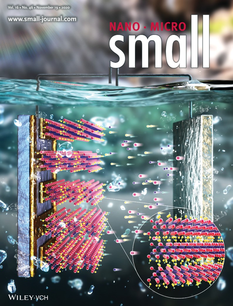 Multiplexed Immunosensors: An Electrodeposited MXene-Ti3C2Tx Nanosheets Functionalized by Task-Specific Ionic Liquid for Simultaneous and Multiplexed Detection of Bladder Cancer Biomarkers (Small 46/2020)