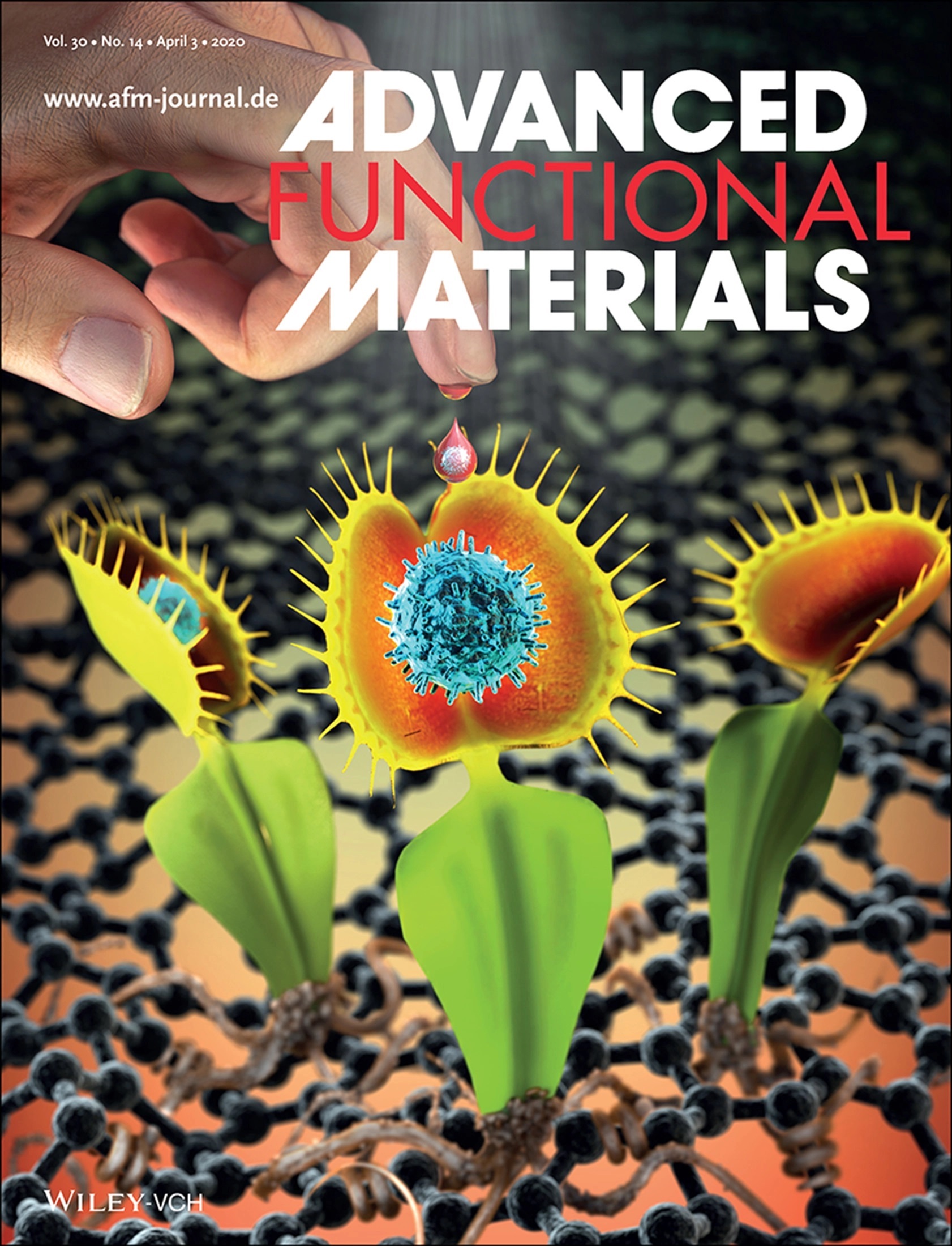 Journal Cover Image accepted in Advanced Functional Materials