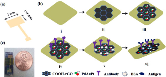 Trimetallic Pd@Au@Pt nanocomposites platform on -COOH terminated reduced graphene oxide for highly sensitive CEA and PSA biomarkers detection