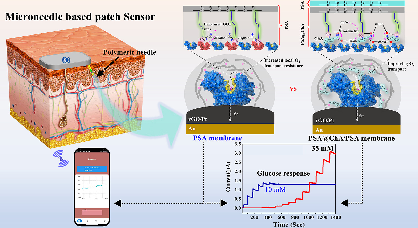 A perfluorinated sulfonic acid-based double-layered membrane-coated polymeric microneedle glucose sensor with wide linear range for long-term stable monitoring