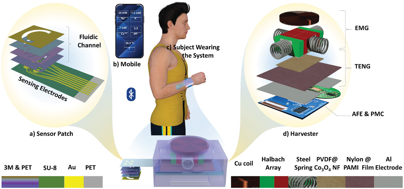 Self-Powered Wireless System for Monitoring Sweat Electrolytes in Personalized Healthcare Wearables