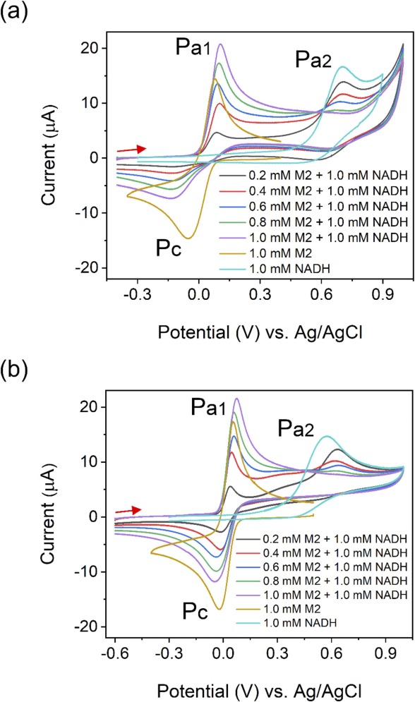 Electrochemical glucose sensor based on a phenothiazine derivative mediator with nicotinamide adenine dinucleotide-dependent glucose dehydrogenase