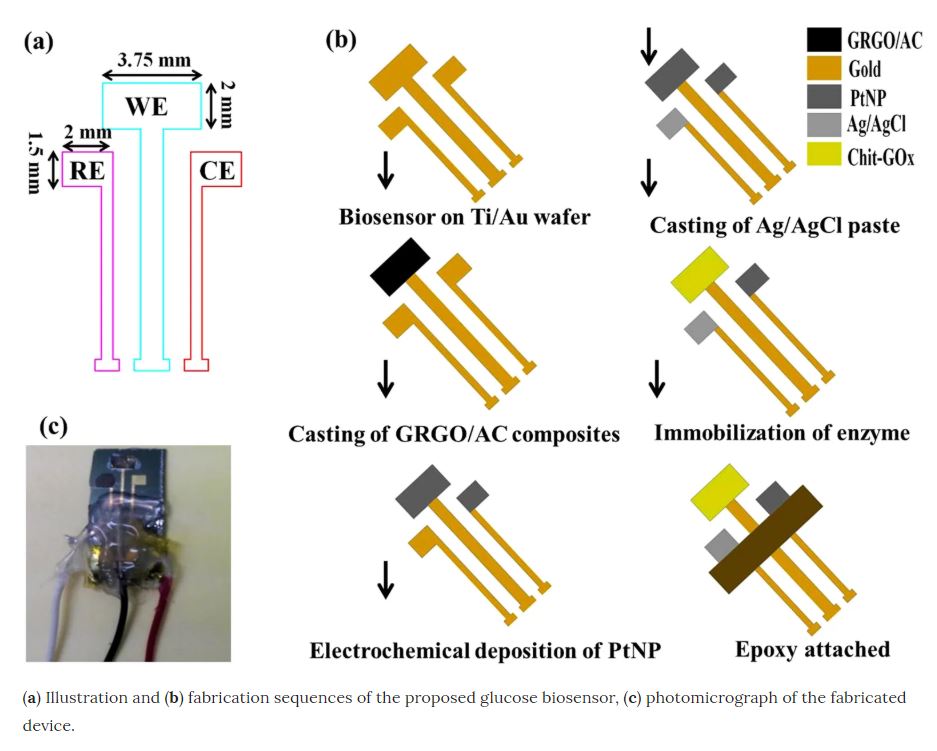 Plain to point network reduced graphene oxide - activated carbon composites decorated with platinum nanoparticles for urine glucose detection