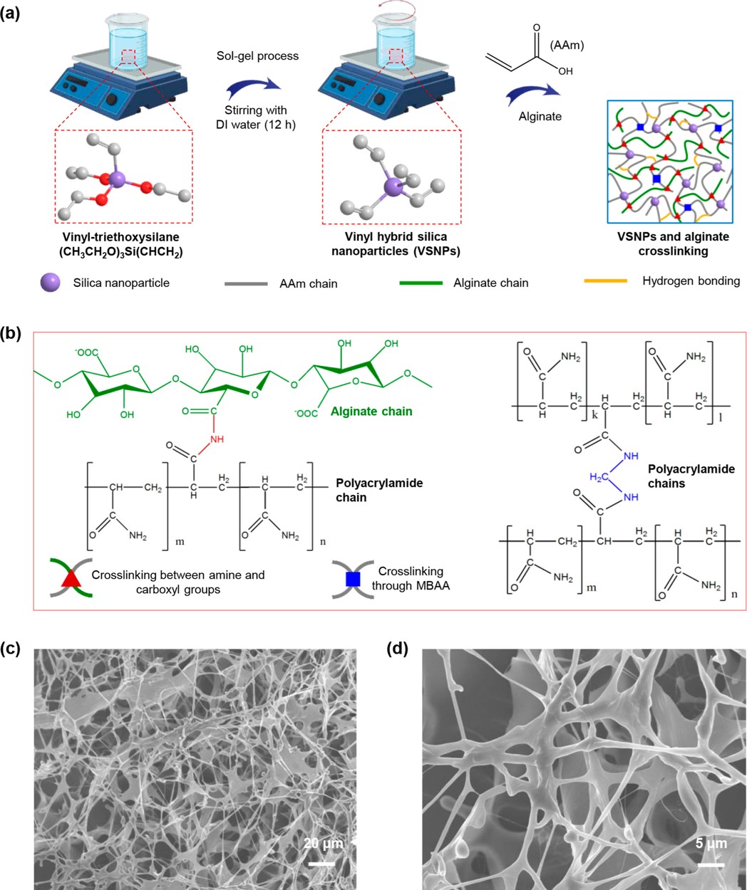 Hysteresis-Free Double-Network Hydrogel-Based Strain Sensor for Wearable Smart Bioelectronics