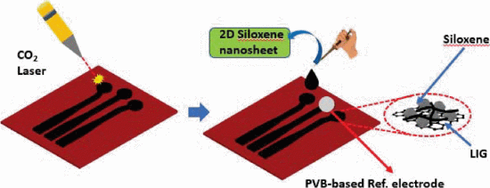 A Metal Nanoparticles and 2D-Siloxene Sheets Incorporated Laser-Ablated Graphene-Based Epidermal Patch for Electrolytes Analysis and Monitoring