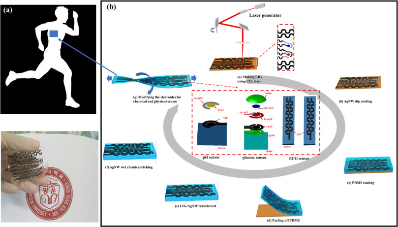 A Highly stretchable and conductive 3D porous graphene metal nanocomposite based electrochemical-physiological hybrid biosensor