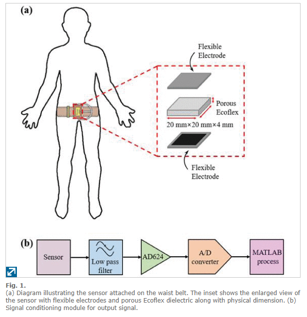 A Flexible Capacitive Pressure Sensor for Wearable Respiration Monitoring System