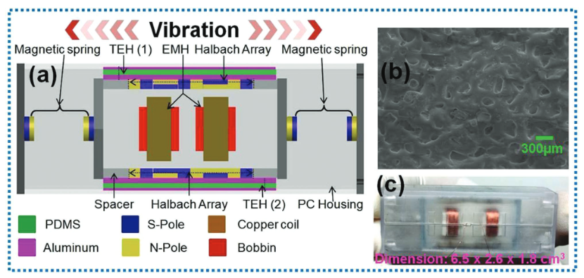 A Hybrid Electromagnetic–Triboelectric Energy Harvester Using a Dual Halbach Magnet Array Powered by Human-Body-Induced Motion