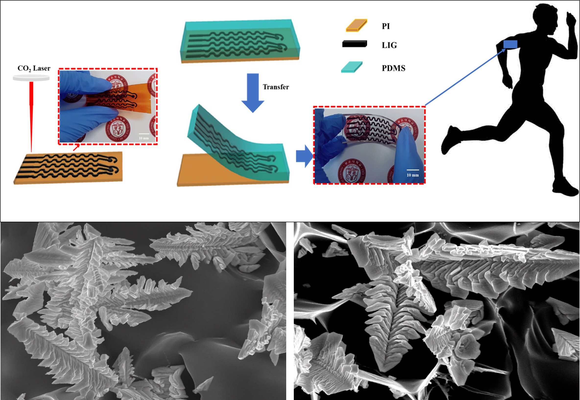 A rime ice-inspired bismuth-based flexible sensor for zinc ion detection in human perspiration