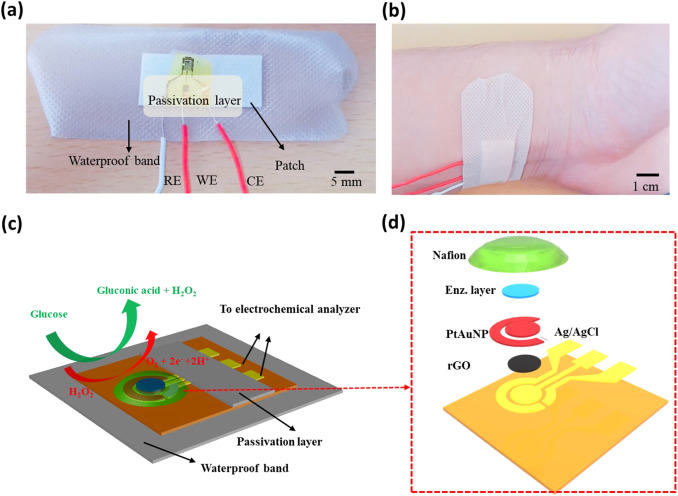 A wearable electrochemical glucose sensor based on simple and low-cost fabrication supported micro-patterned reduced graphene oxide nanocomposite electrode on flexible substrate