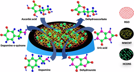 Ex Situ Hybridized Hexagonal Cobalt Oxide Nanosheets and RGO@MWCNT Based Nanocomposite for Ultra-Selective Electrochemical Detection of Ascorbic Acid, Dopamine, and Uric Acid