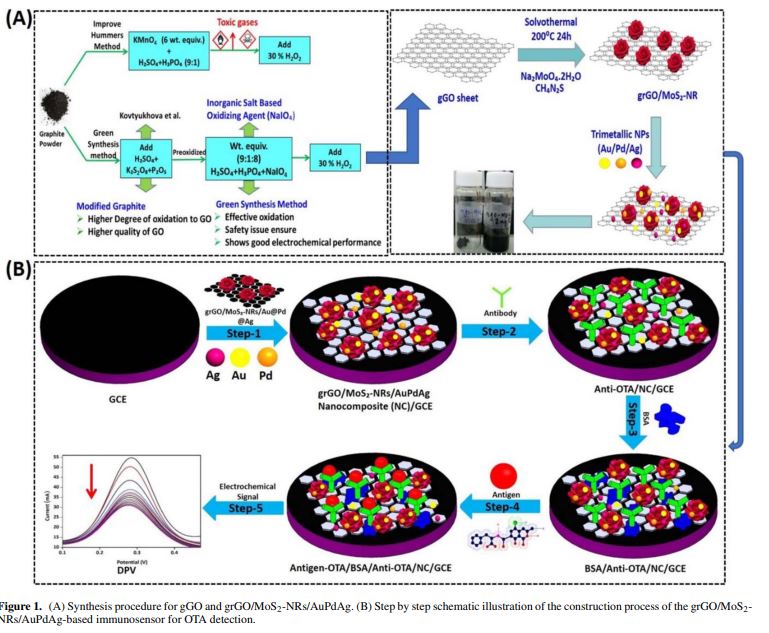 Green Synthesis of Reduced Graphene Oxide Decorated with Few-Layered MoS2-Nanoroses and Au/Pd/Ag Trimetallic Nanoparticles for Ultrasensitive Label-Free Immunosensing Platforms