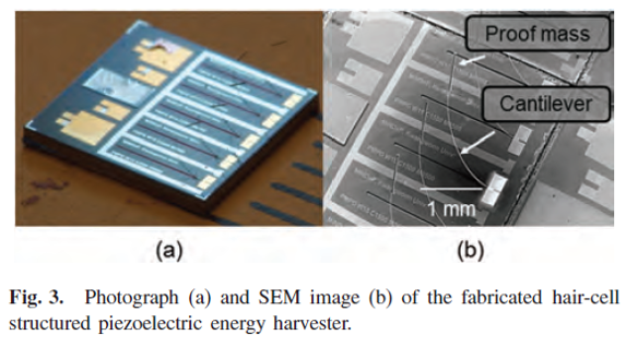 Arbitrary Vibration Driven Piezoelectric Energy Harvester Using Hair-Cell Structured Cantilever