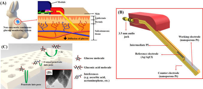 Wearable, robust, non-enzymatic continuous glucose monitoring system and its in vivo investigation
