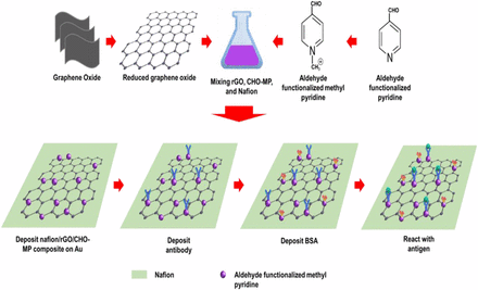 A Prostate Cancer Detection Immunosensor Based on Nafion/Reduced Graphene Oxide/Aldehyde Functionalized Methyl Pyridine Composite Electrode