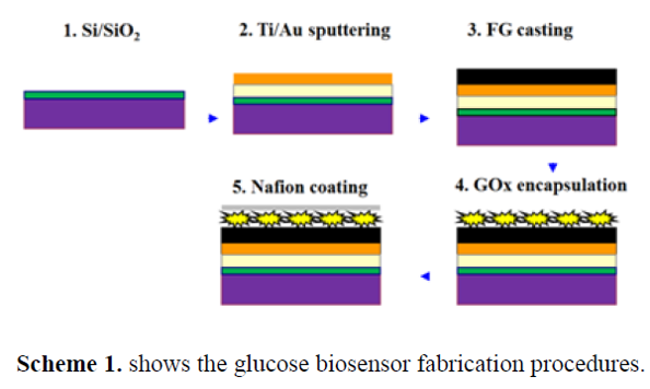 An Electrochemical Enzymatic Biosensor Based on AuFGssol-gel-GOx Composite Nafion