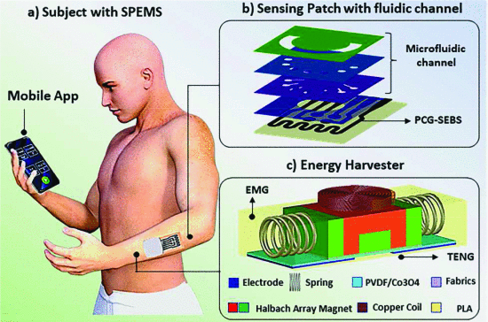 A Hybrid Nanogenerator-Driven Self-Powered Wearable Perspiration Monitoring System