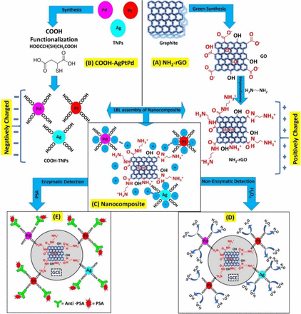 Green Synthesis and Layer-by-Layer Assembly of Amino-Functionalized Graphene Oxide/Carboxylic Surface Modified Trimetallic Nanoparticles Nanocomposite for Label-Free Electrochemical Biosensing